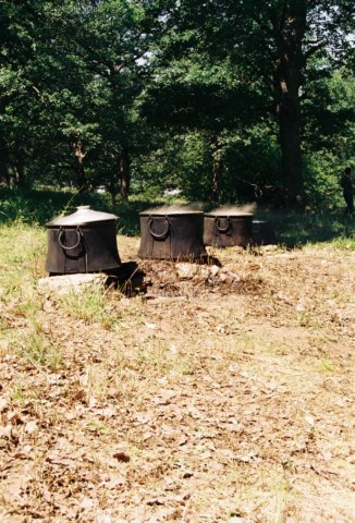 bek_2003_241.jpg