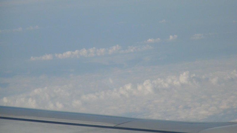 dsc11290.jpg