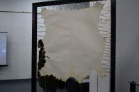 3. kép - Kifeszített állatbőr 3_Kifeszitett_allatbor