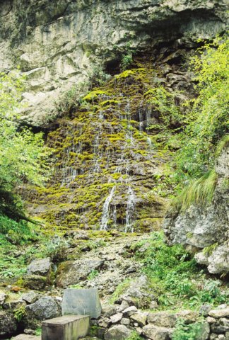 kar_2000_018.jpg