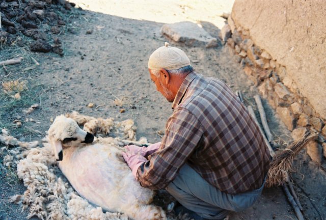 kar_2001_010.jpg
