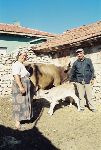 kar_2001_035.jpg