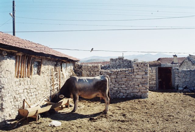 kar_2001_068p.jpg