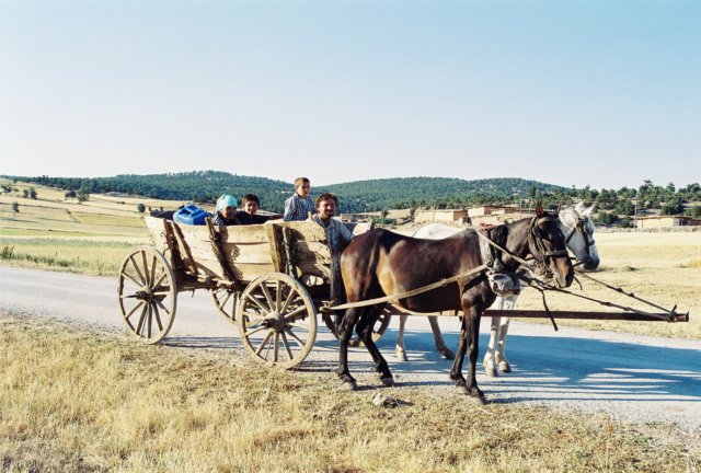 kar_2001_081.jpg